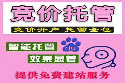 信息流广告投放策略：成功案例启示